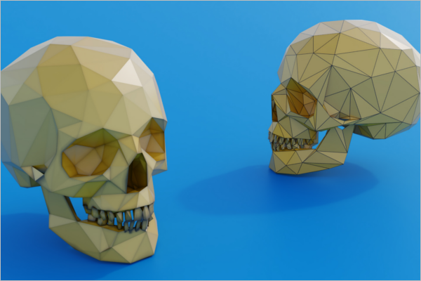 3D Skull Mesh Model