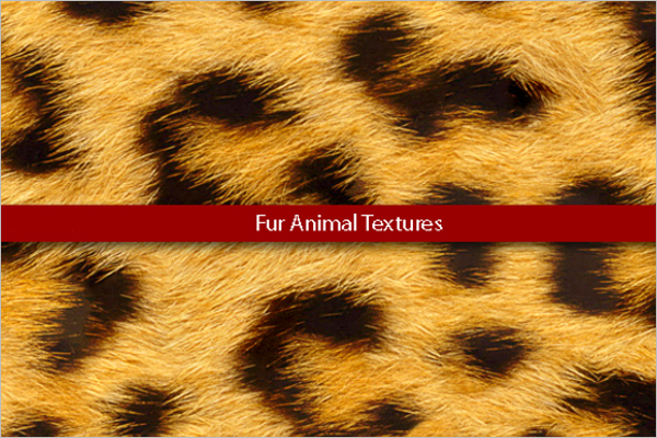 Animal Texture Design