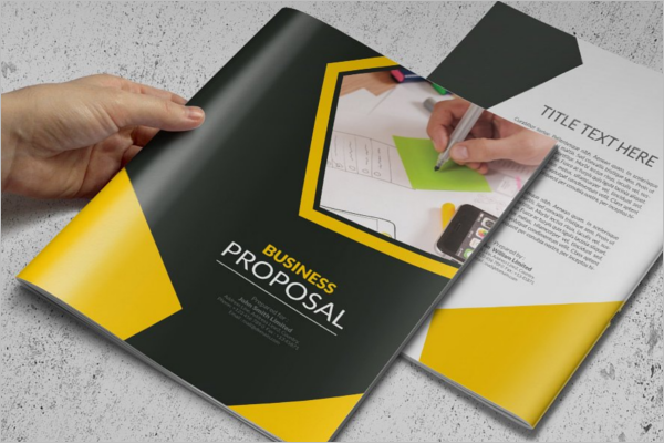 Business Proposal Brochure Design