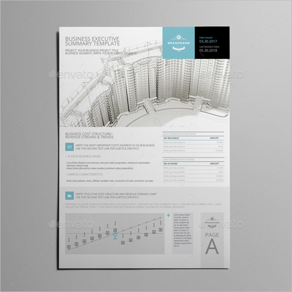 32+ Executive Summary Templates Free Word, PPT, PDF Formats