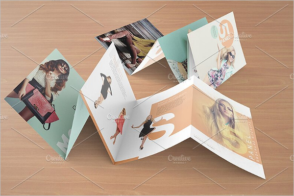 Folded CorelDraw Brochure Design