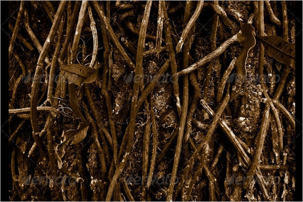 Nature Root Texture Design