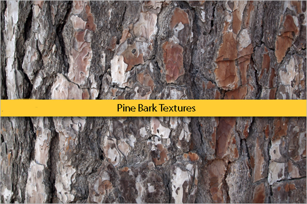 Pine Bark Free PatternsÂ 