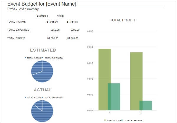 Project Summary Budget Template