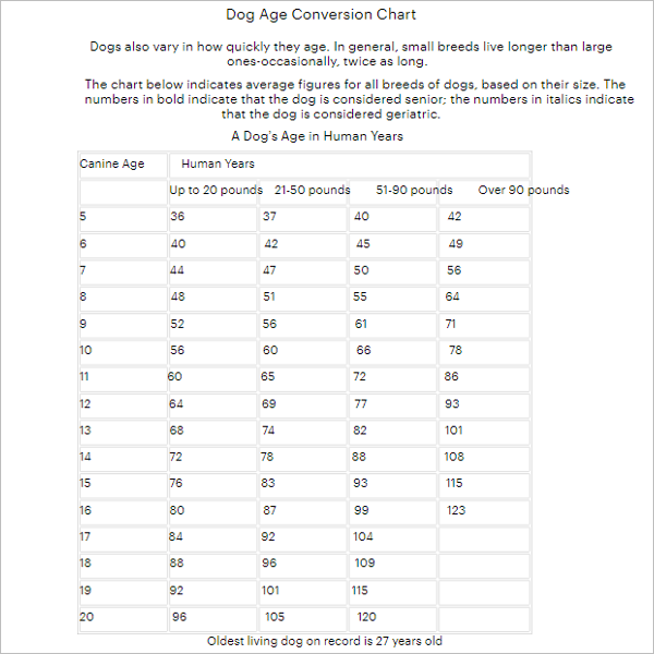 Age Conversion Chart Template