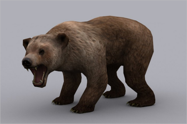 Bear 3D model Design