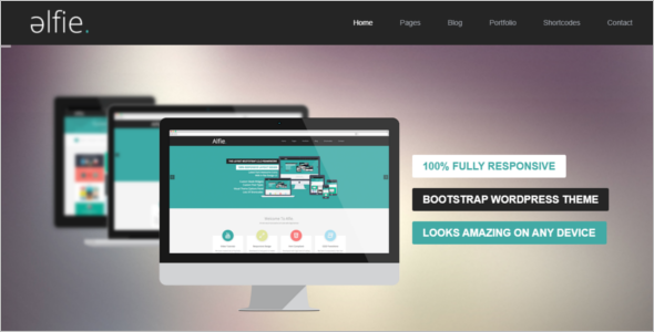 Fully Responsive Bootstrap Theme