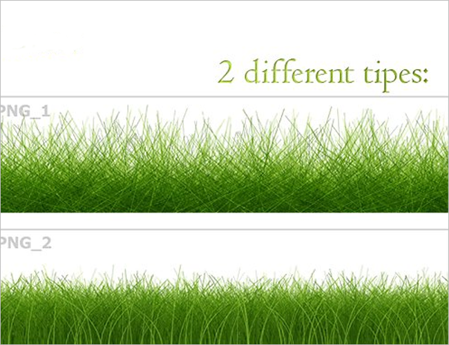 Seamless Grass Lawn Texture