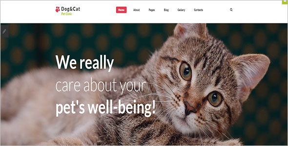 Animal Pet Bootstrap Template