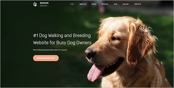 Animal Shelter Bootstrap Template