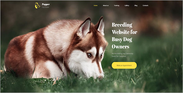 Bootstrap Theme For Animal