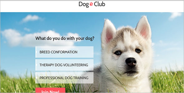 Cat Club Bootstrap Template