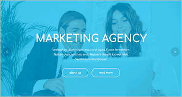 32+ Marketing Agency WordPress Themes