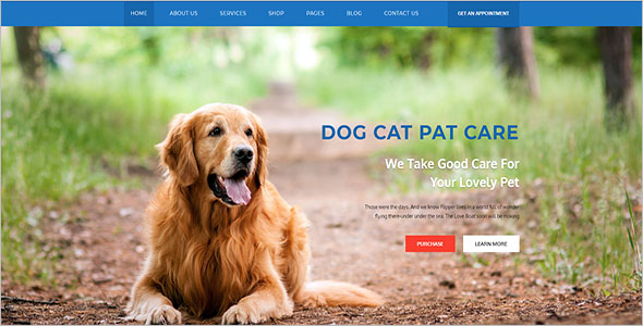New Animal Bootstrap Template