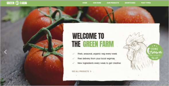Organic Food WordPress Website Theme