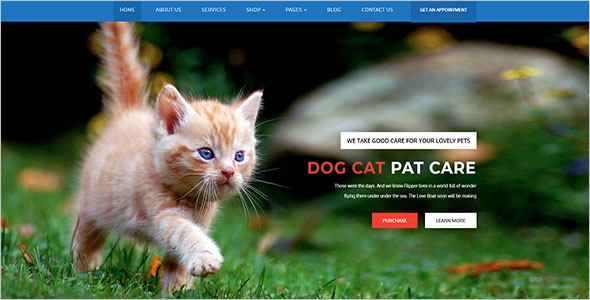 Simple Animal Bootstrap Template