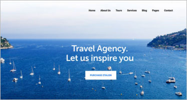 42+ Best Travel Agency WordPress Website Themes