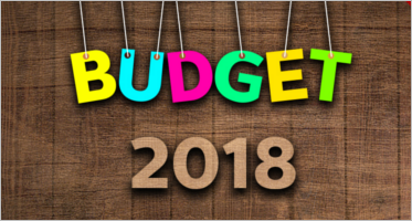 13+ Printable Yearly Budget Templates