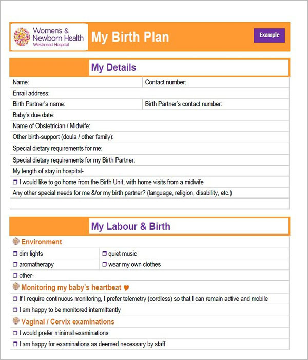 Birth Plan Sample Format