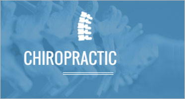 14+ Best Chiropractic Brochure Templates