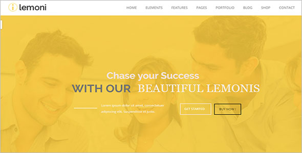 Drupal Theme For Business