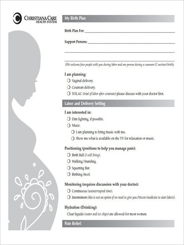 Example Of Birth Plan Template