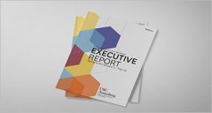 17+ Executive Report Templates