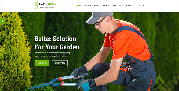 Landscaping Company Blog Template