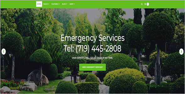 Landscaping Service Blog Template