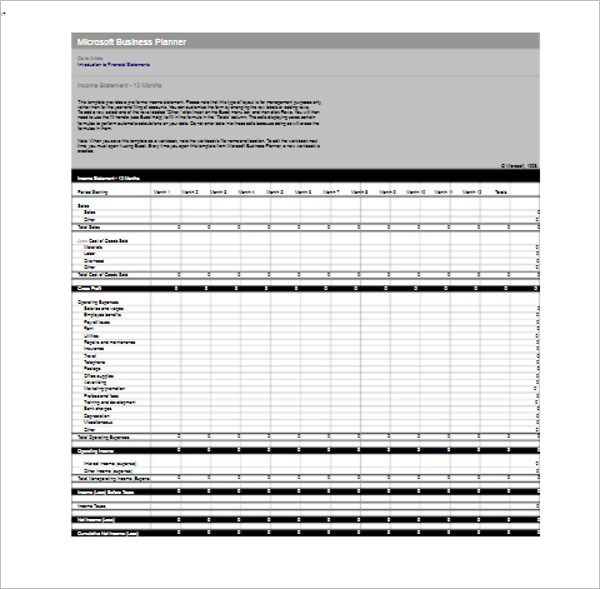MS Excel Format Profit & Loss Statement