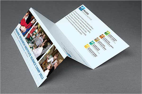 Multipurpose Camp Brochure Design