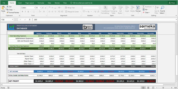 Profit & Loss Statement built in Excel