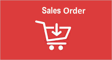 35+ Sample Sales Order Templates
