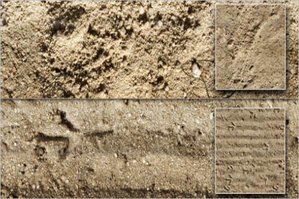 Set Of Sand Texture