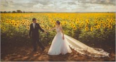 26+ Wedding Landing Page Website Templates