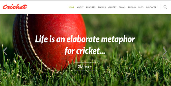 Cricket Joomla Club Theme