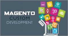 31+ Custom Magento Development Themes