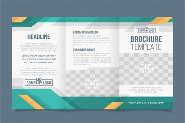 Best Business Tri-Fold Brochure Template