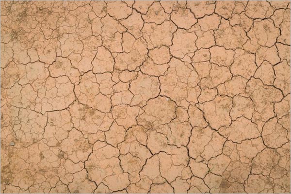 Dry & Cracked Ground Texture