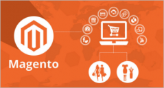26+ Best Magento Online Store Themes