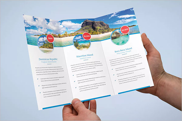 Travel Agency Tri-Fold Brochure Design