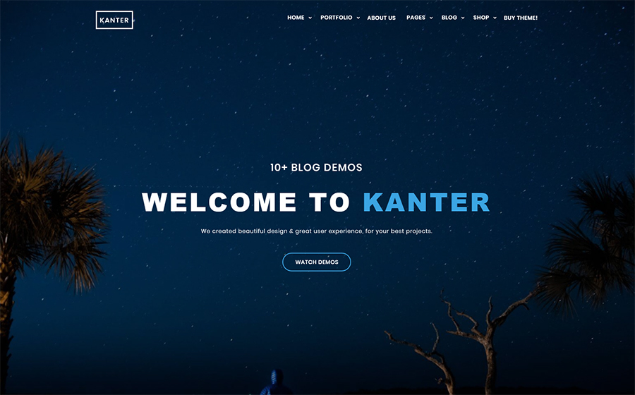 Kanter - Corporate&Portfolio&Agency WordPress Theme
