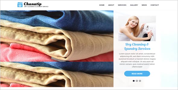 Best Laundry Website template