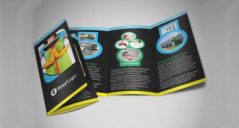 21+ Cleaning Company Brochure