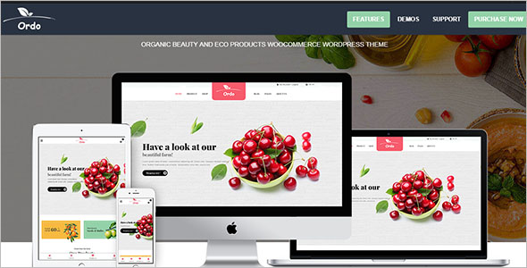 Organic Beauty Products WooCommerce Theme