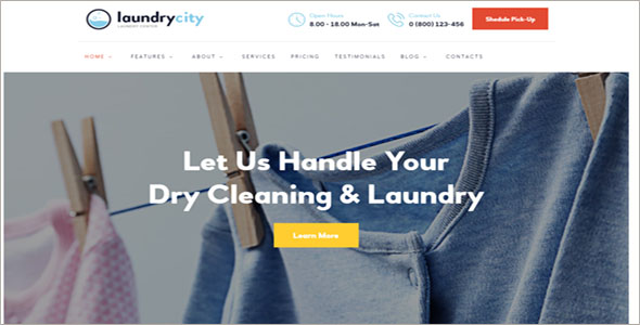 Dry Cleaning Services WordPress Theme