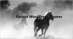 20+ Fastest Loading WordPress Themes