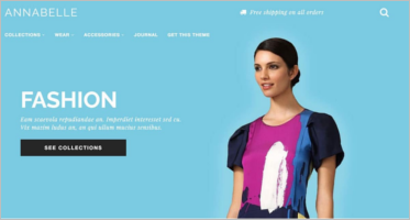 42+ Best Shopify Website Themes