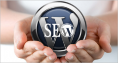 19+ Seo Company Wordpress Themes