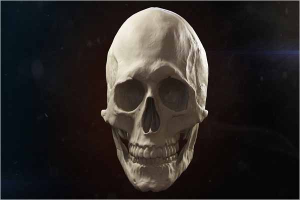 Skull 3D Maya Model